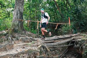 BIB: 
                            <button type="button" onclick="openModal(27803879)" class="btn btn-primary btn-sm float-right btn-popup" data-toggle="modal" data-target=".modal-high-quality">
                        <i class="fas fa-shopping-cart"></i> Add to Cart
                    </button>
                                            <button type="button" onclick="isThisMe(27803879, true)" class="btn btn-success btn-sm float-right btn-popup btn-isme hidden" data-toggle="tooltip" data-placement="bottom" title="นี่คือรูปของคุณใช่ไหม คลิกที่นี่เพื่อเอาเข้าอัลบั้ม">
                        <i class="fas fa-plus"></i> Add to album
                    </button>
                    <button type="button" onclick="isThisMe(27803879, false)" class="btn btn-warning btn-sm float-right btn-popup btn-isnotme hidden">
                        <i class="fas fa-ban"></i> Remove from album
                    </button>